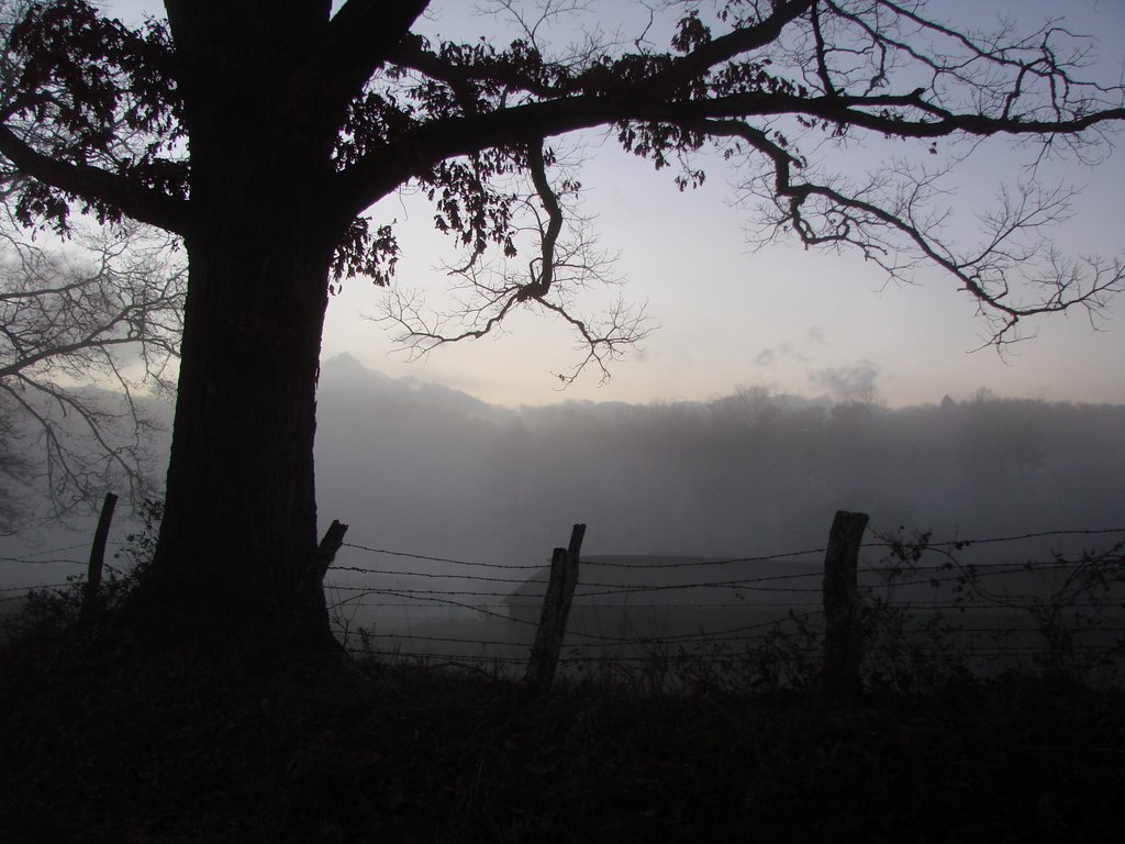 Smoky Mountain fog rolled in at the end of the day ... © All Rights Reserved