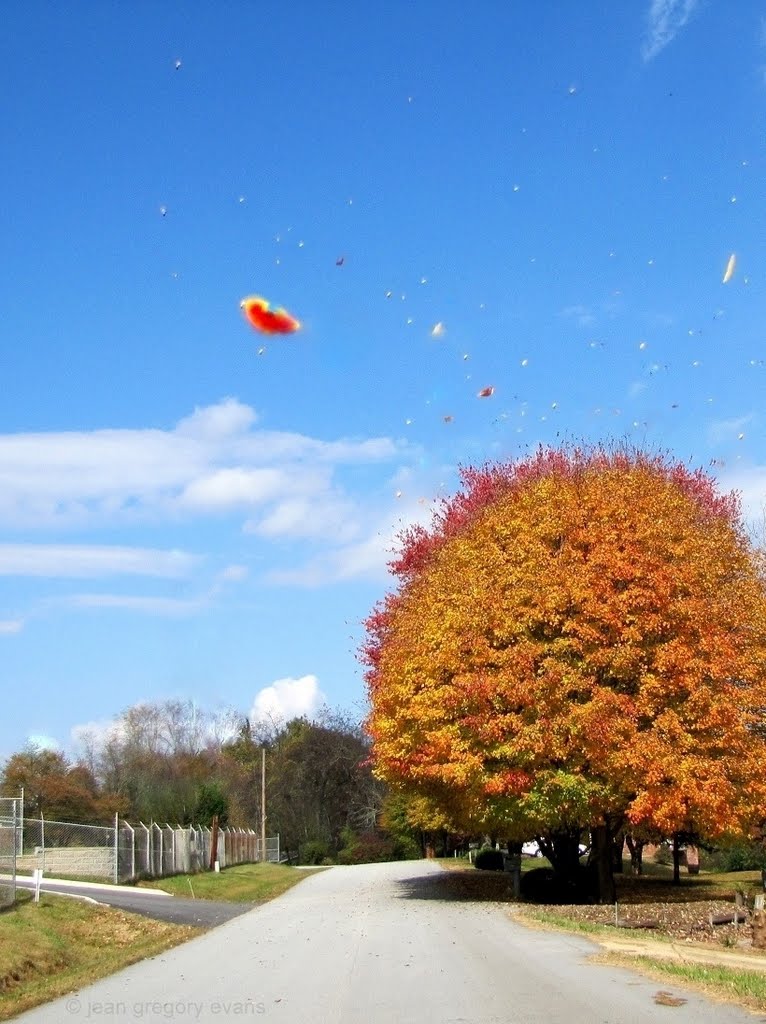 Autumn Leaves Blowing in the Wind