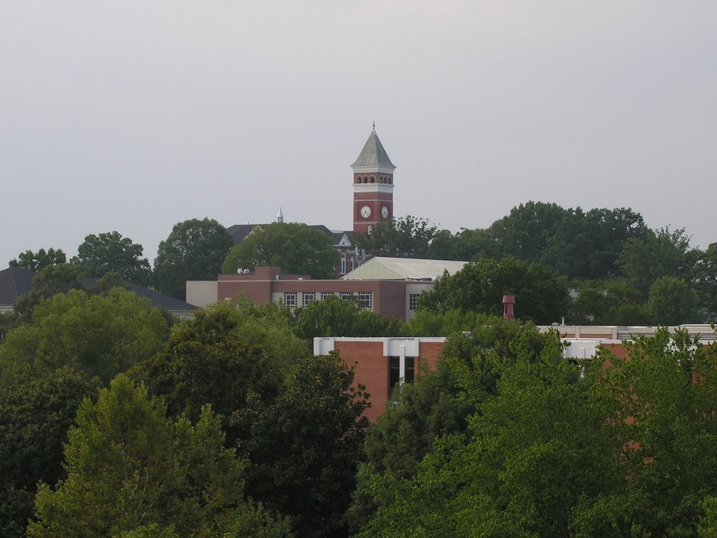 Clemson Campus From McAdams Hall
