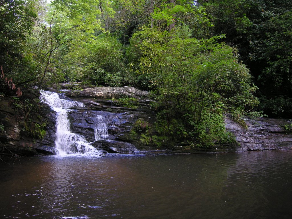 Lick Log Falls