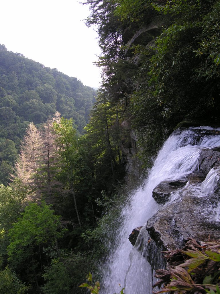 Raven Cliff Falls