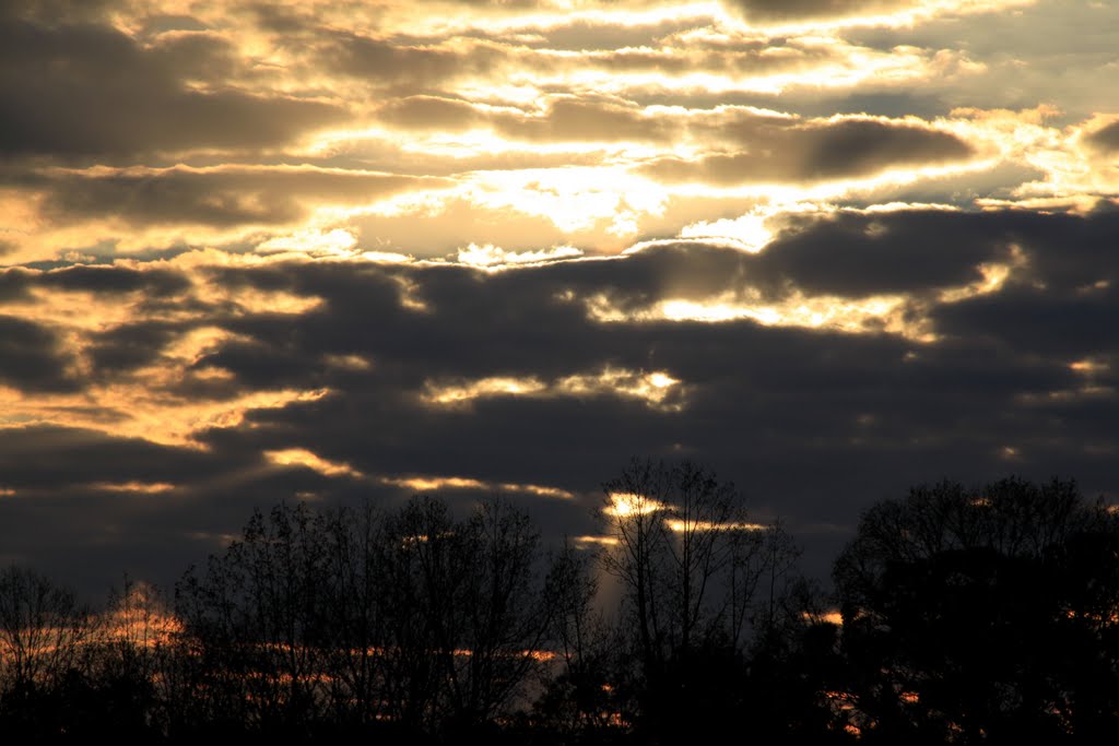 Golden Sunset, Suwanee, Georgia