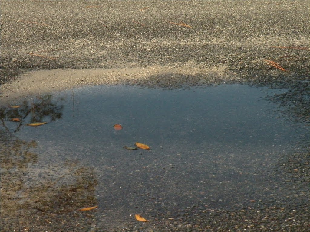 After the Rain