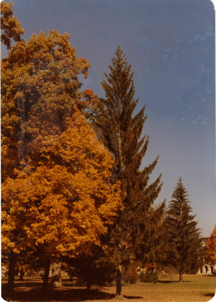 Fall