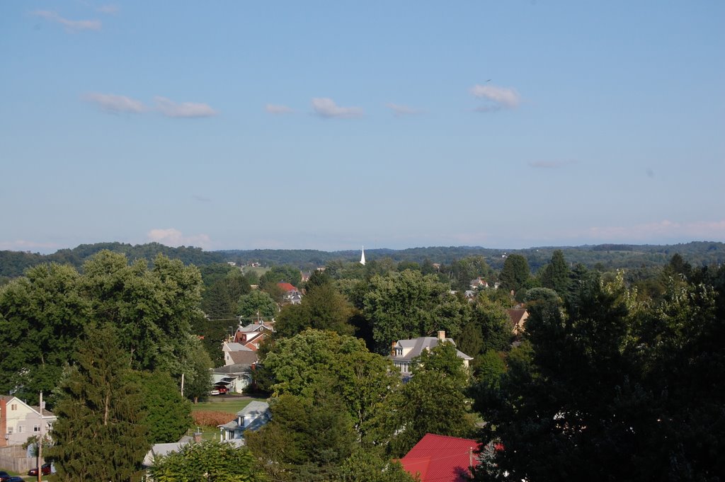 Wesley Chapel from St. Josephs Hospital