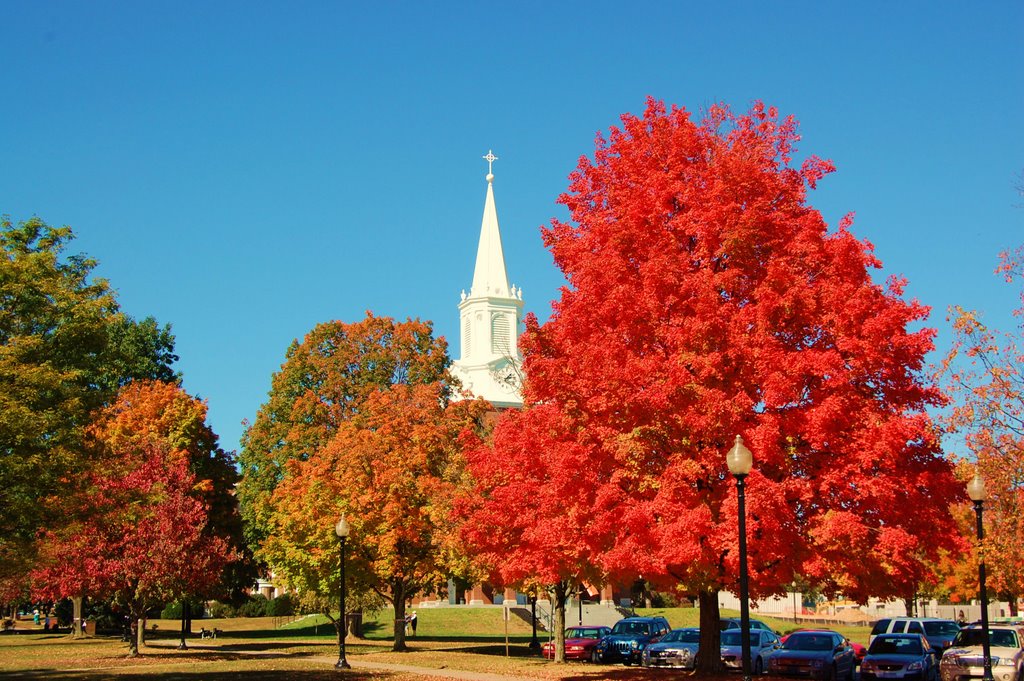 West Virginia Wesleyan Fall 2008