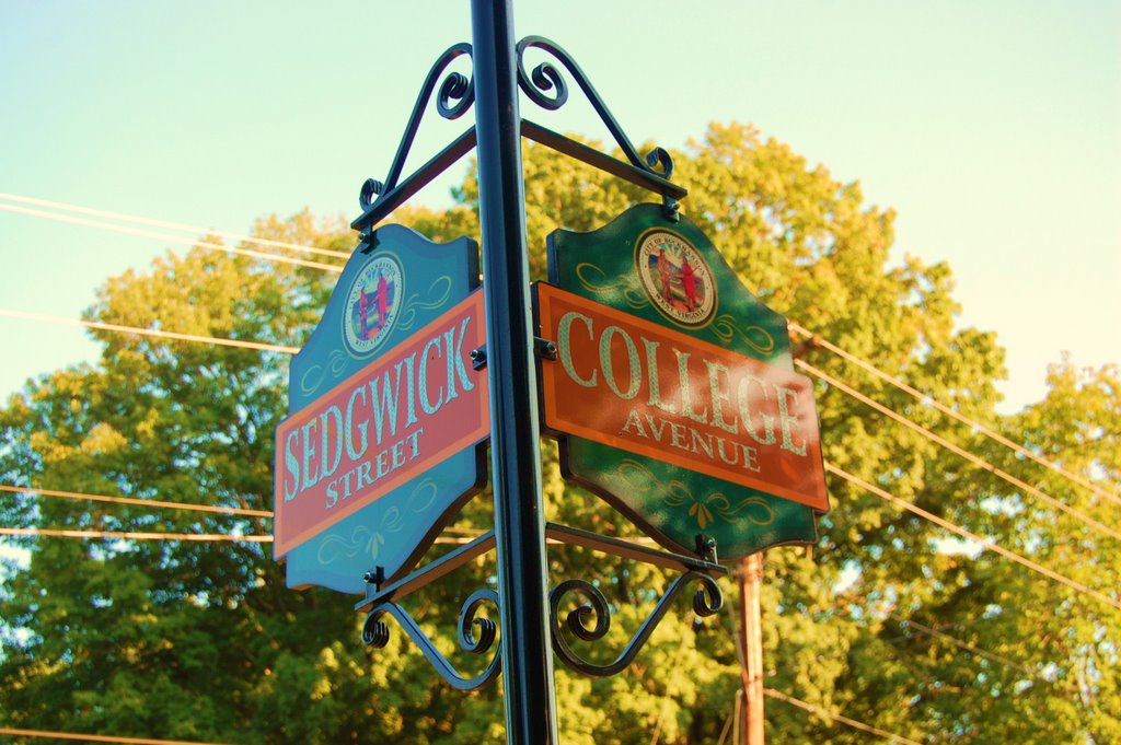 New Street Signs