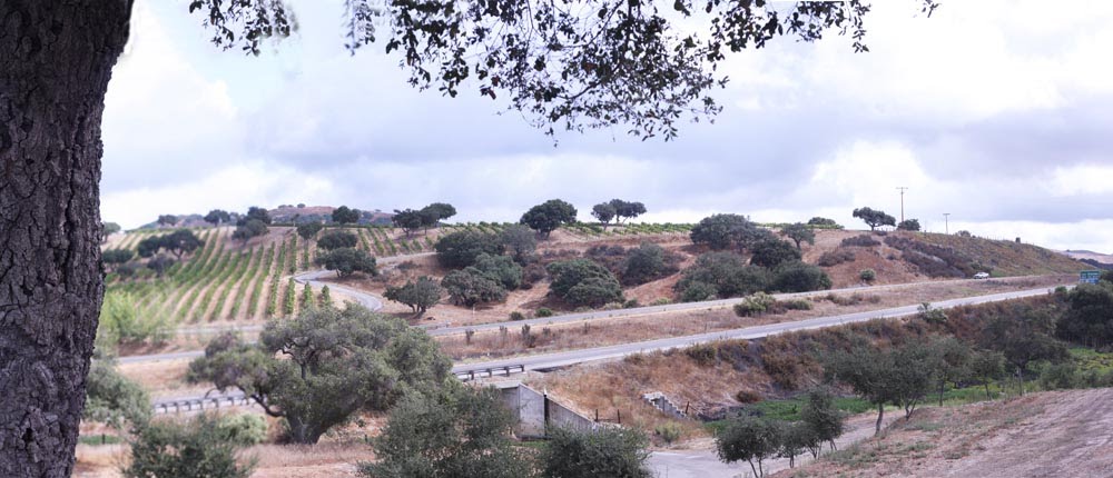 Highway  101 Panorama