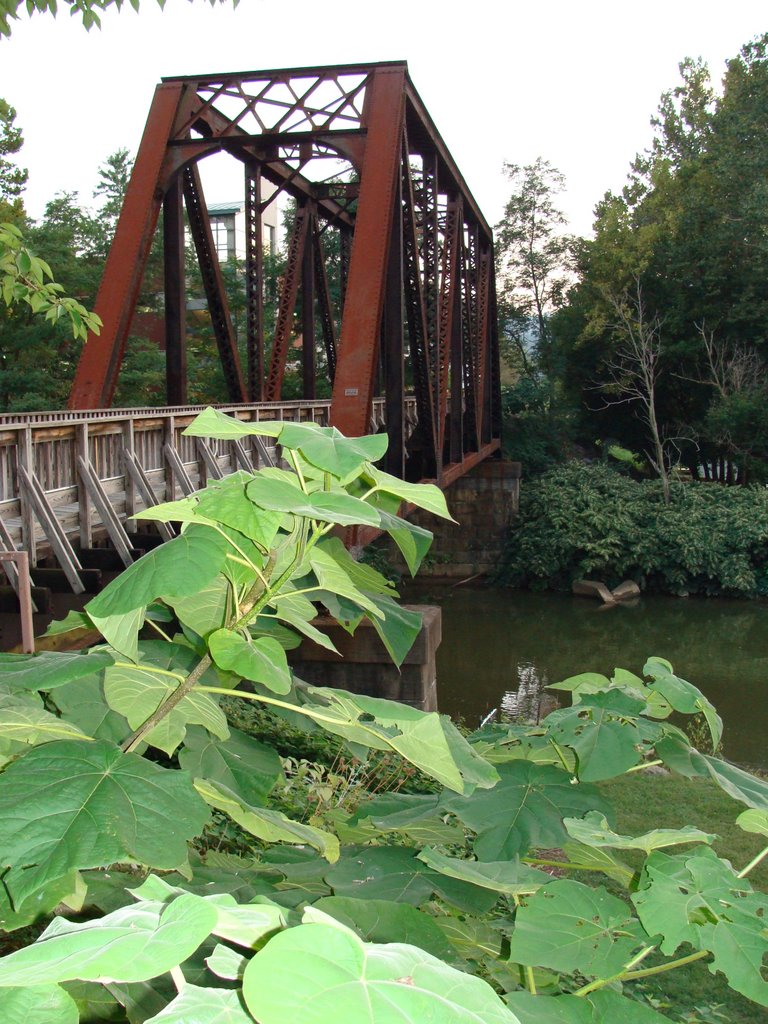 waterfront park / rail trail