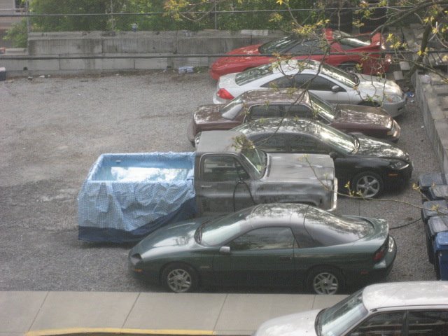WVU Pool
