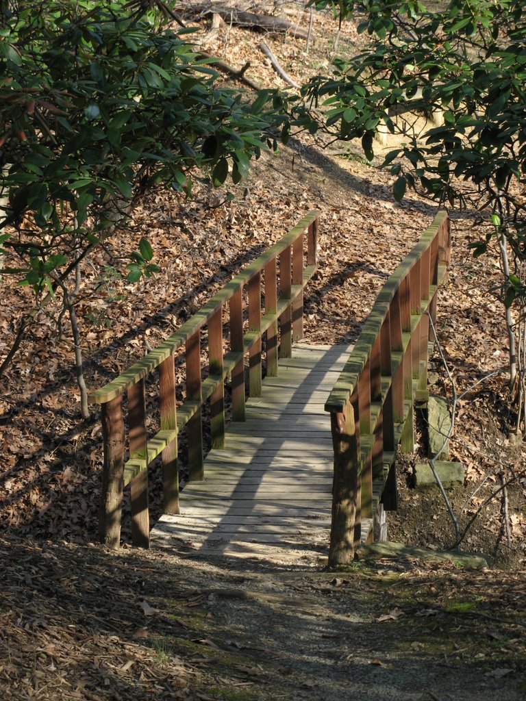 WVU Arboretum
