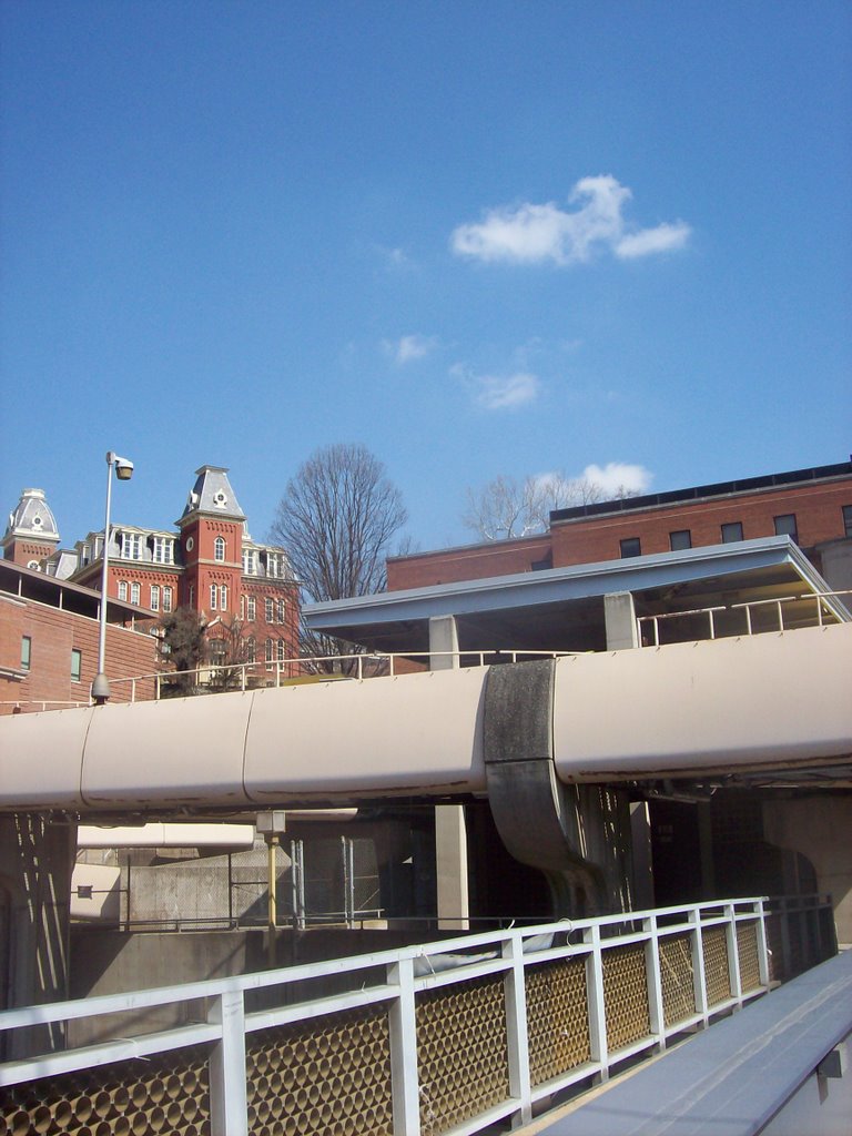 Woodburn Background