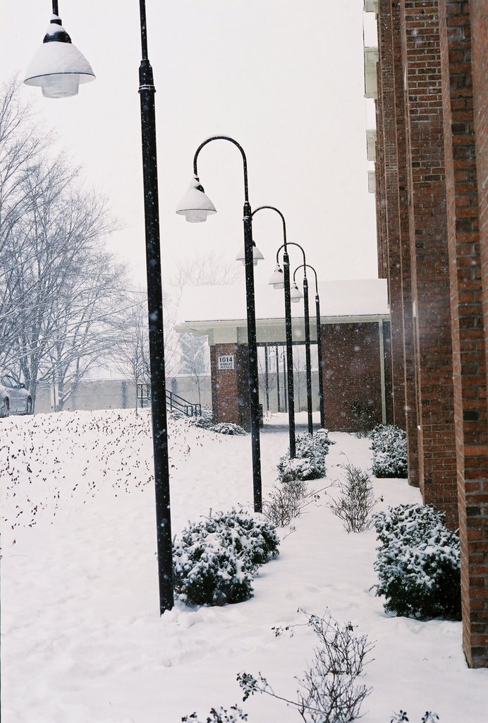 Lincoln Hall in Winter