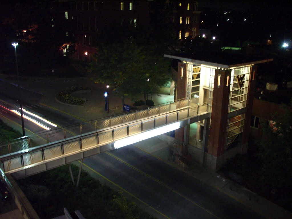 The Bridge from Above