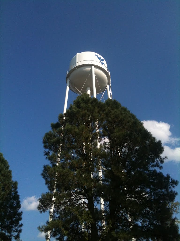The Tower of Water