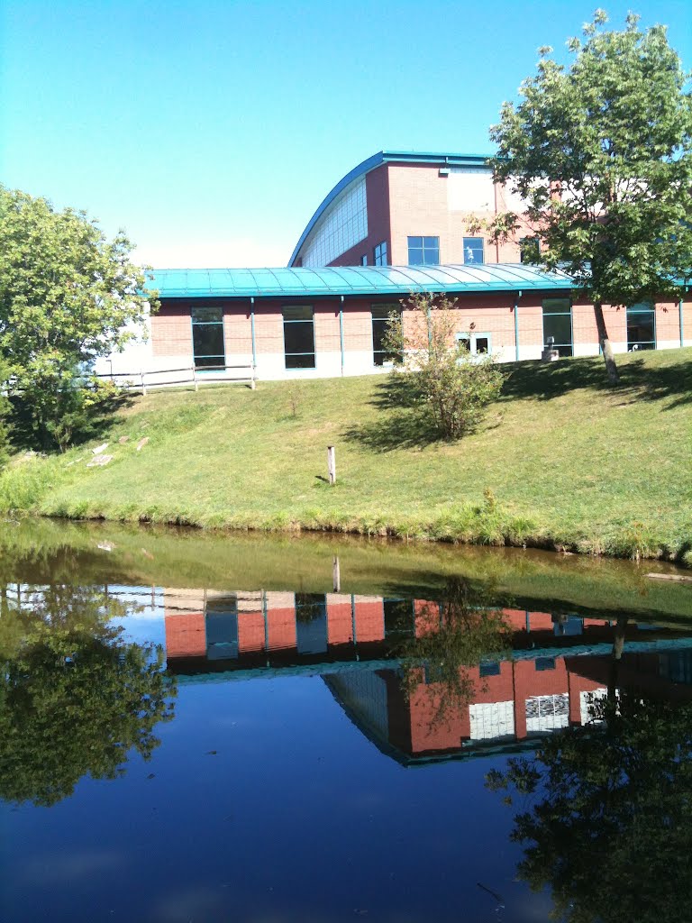 Reflected Rec
