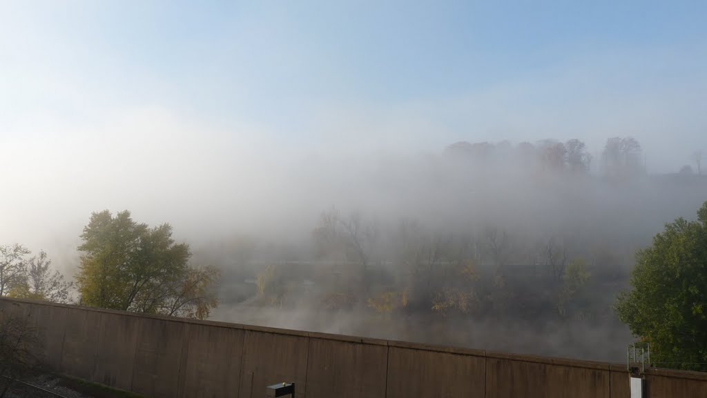 Fog over river