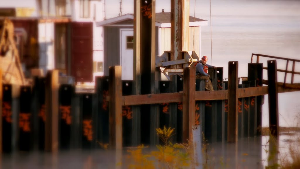 Dock Worker