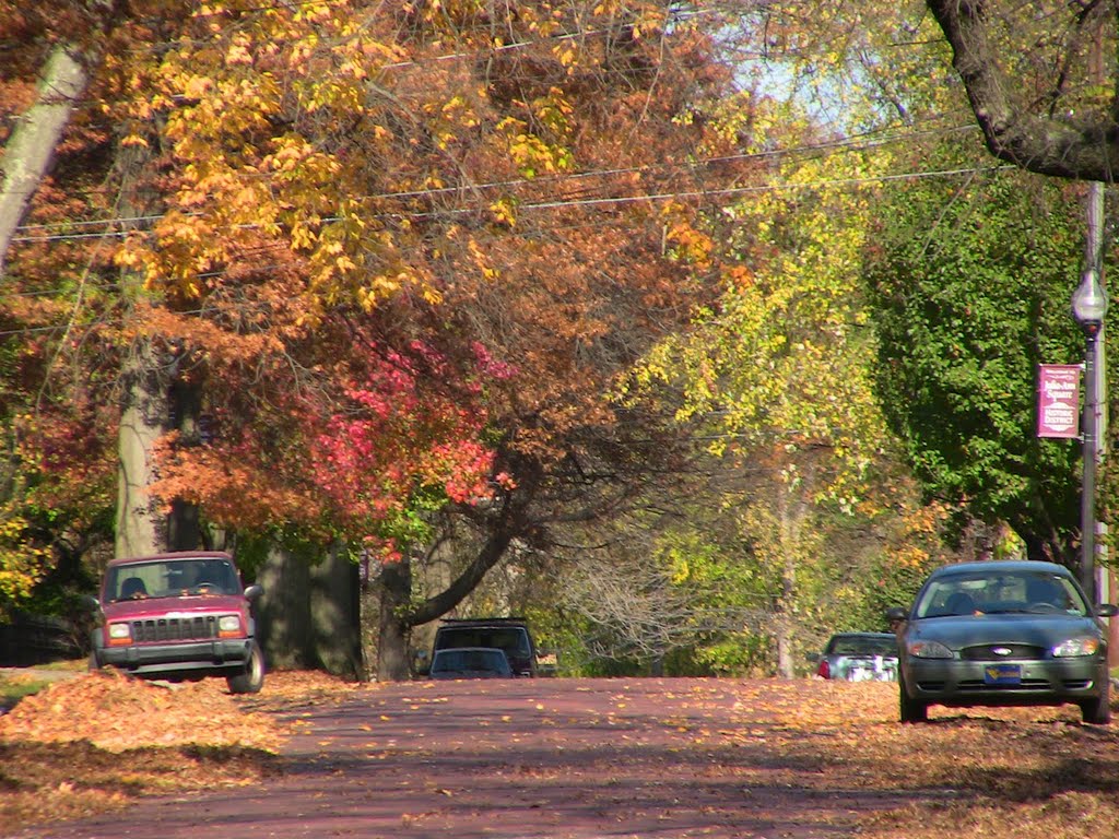 Historic District 1