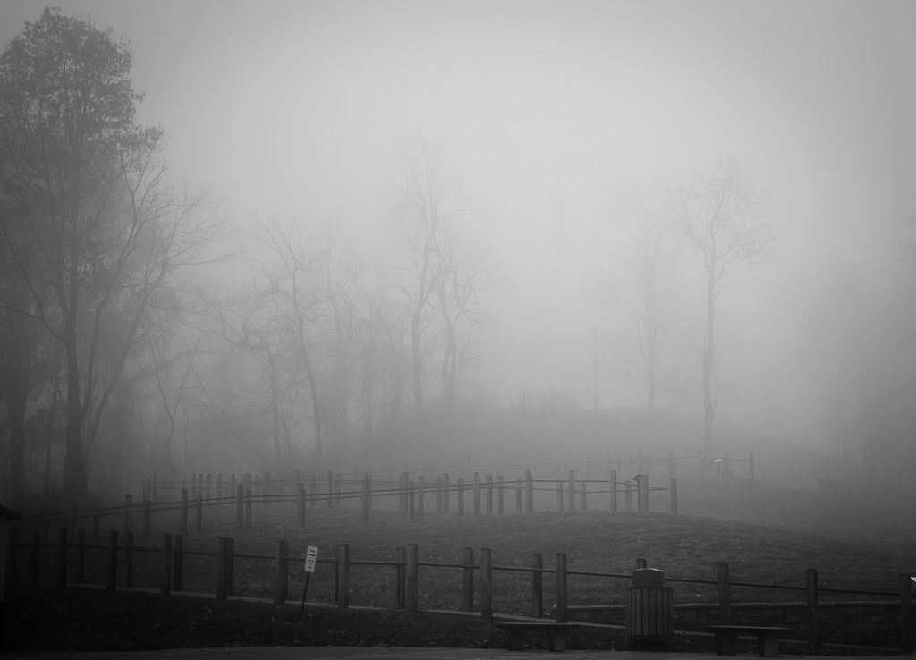 Boreman Hill Fog