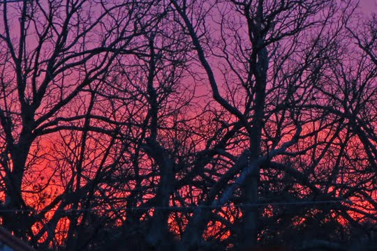 New Dawn, Parkersburg, WV