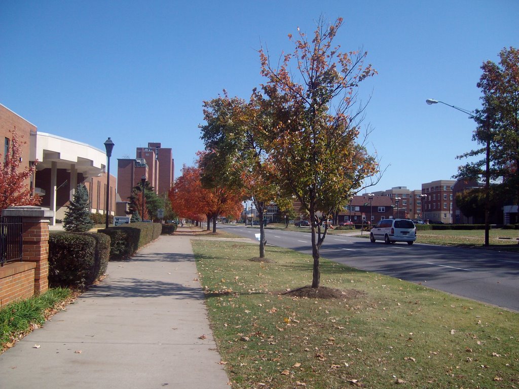 5th Avenue and John Marshall Dr. looking toward the Twin Towers