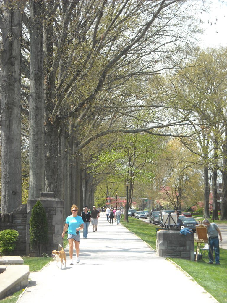 Ritter Park looking west from fountain
