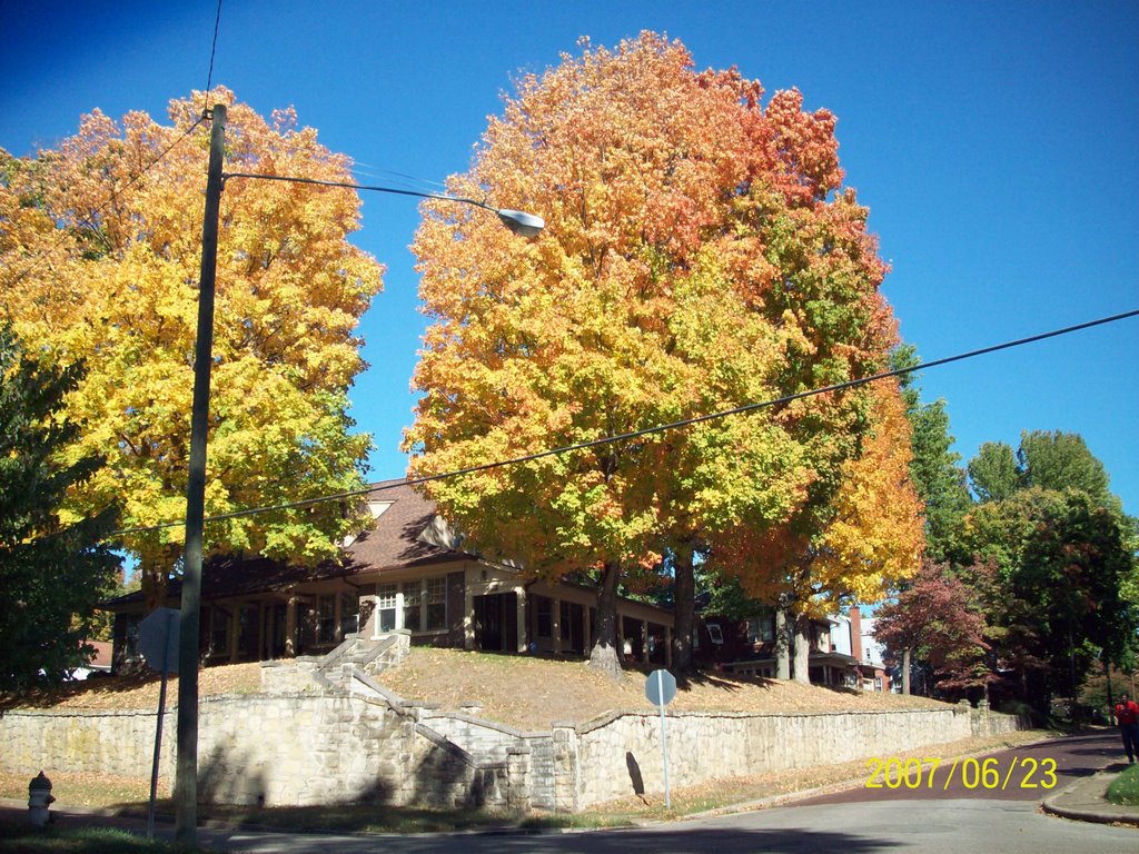 Fall color 07