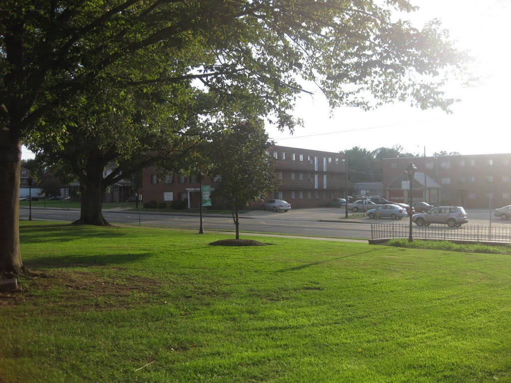 Marshall Arms