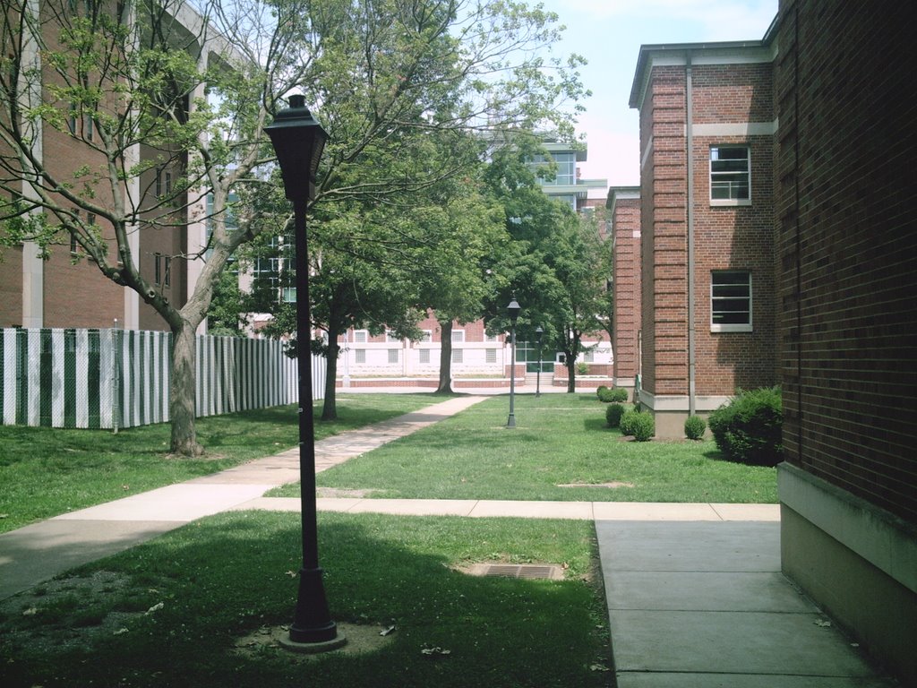 Between Harris Hall and Laidley Hall