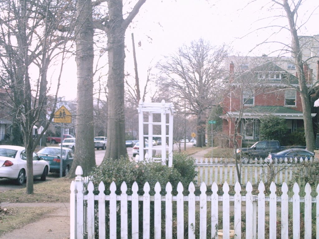 Looking west down 11th Ave.