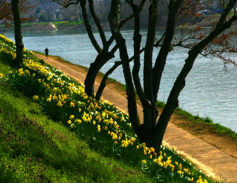 Kanawha River Bank Charleston,WV