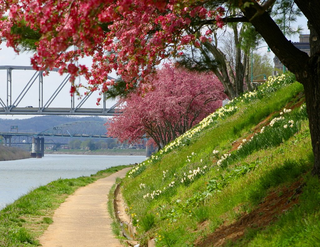 Kanawha River Bank, Charleston,WV