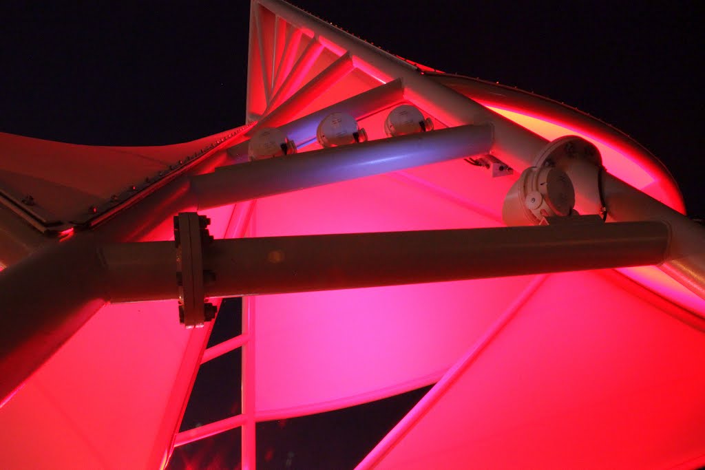 Red Levy Lights