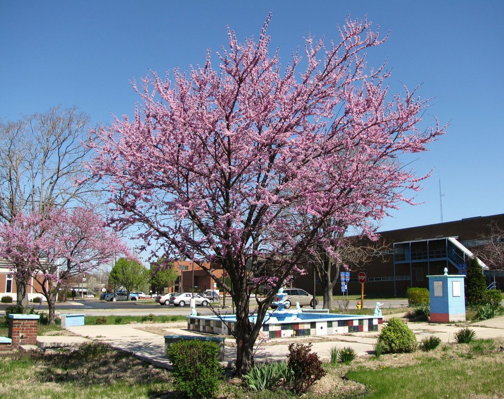 Spring in East St. Louis