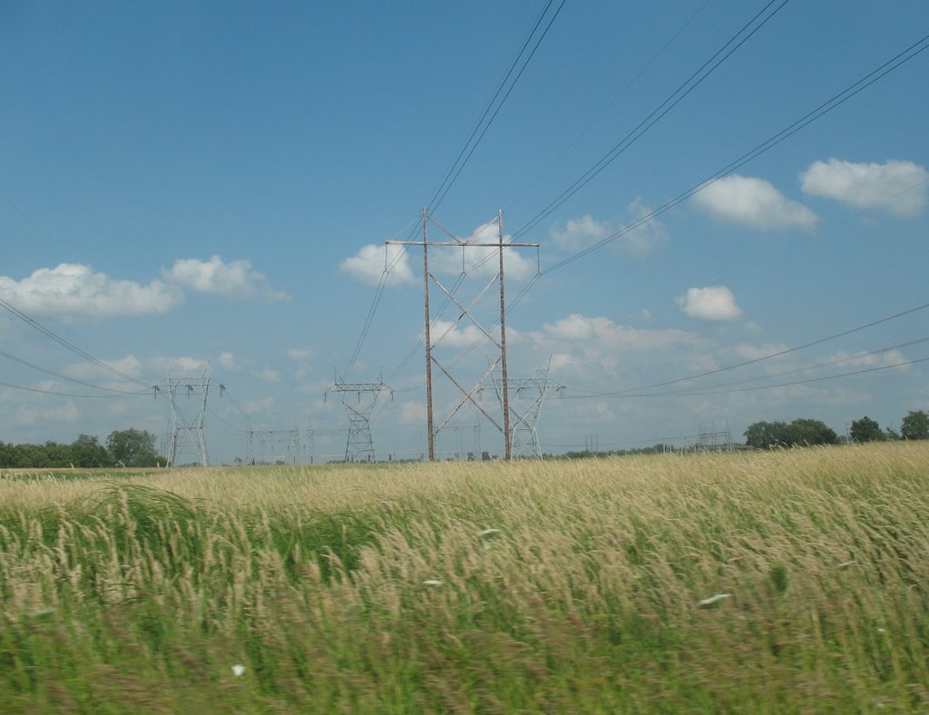 Lines in the field