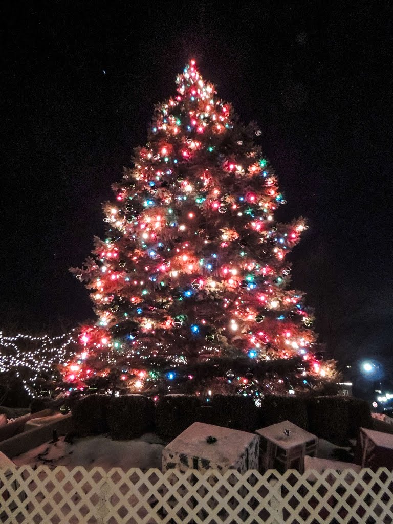 Tall Christmas Tree