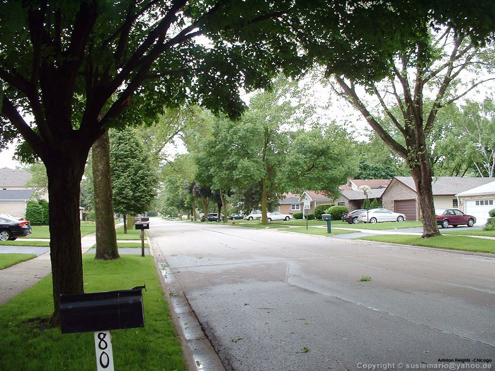 Chicago: Arlington Heights