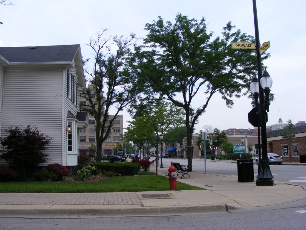Sigwalt St