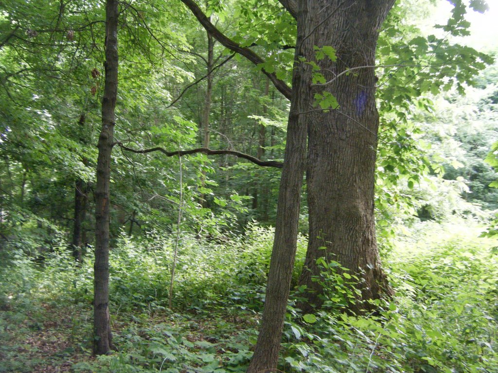 Red Oak Nature Center
