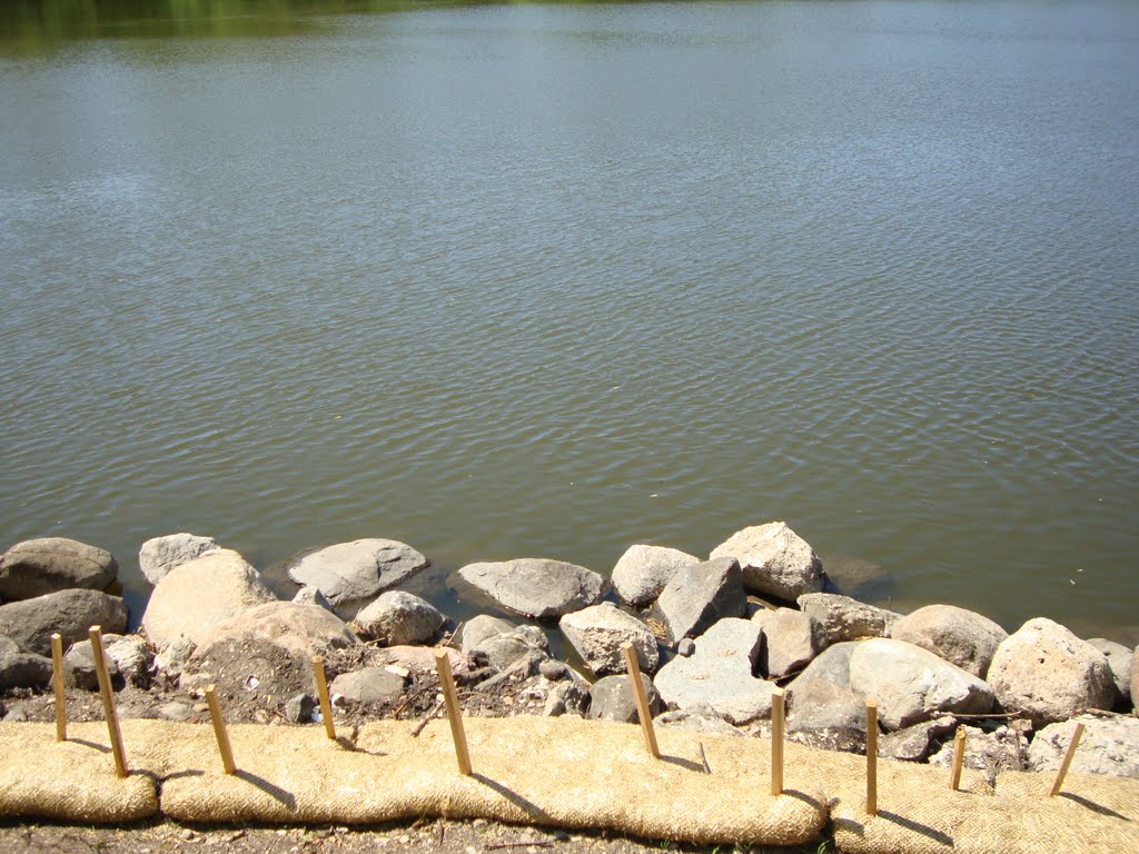 FOX RIVER