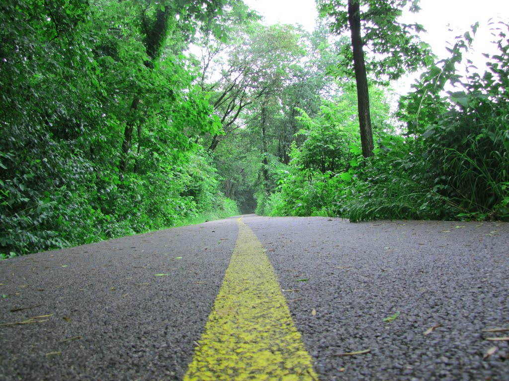 Fox River Bike Trail
