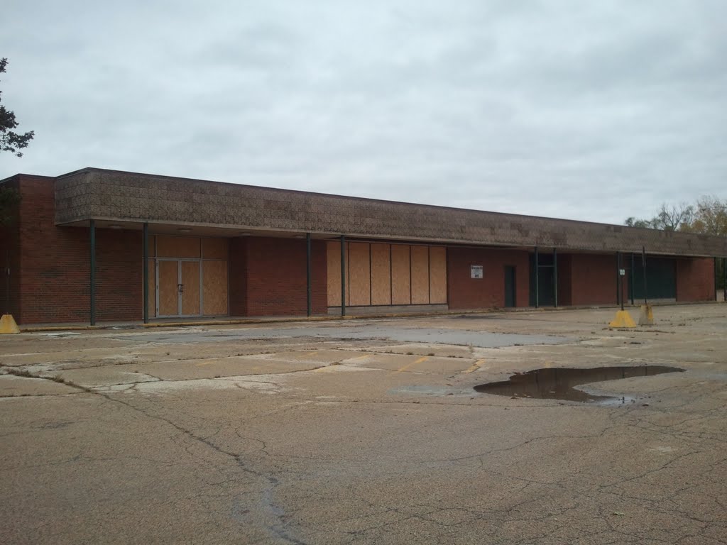 Illinois Department of Employment Security