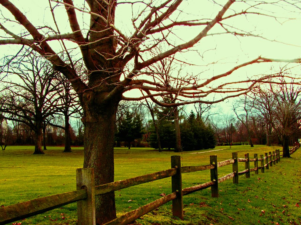 Fox Valley Golf Club