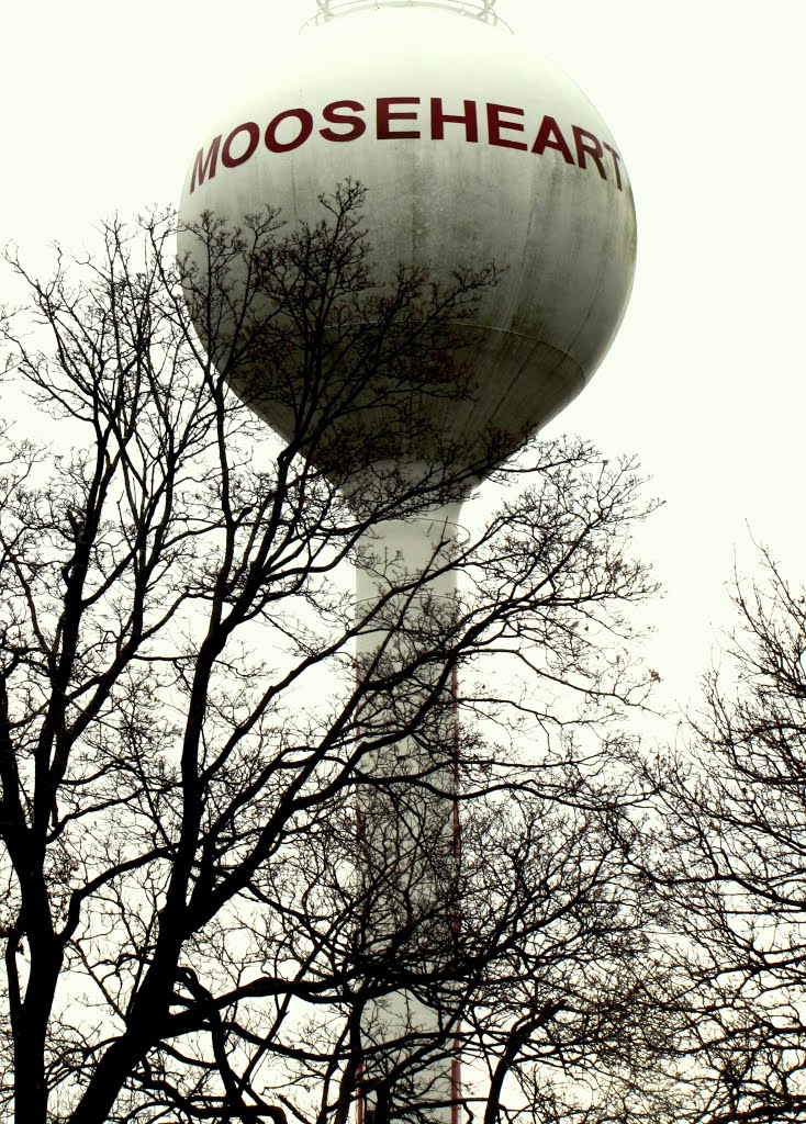 Mooseheart Watertower