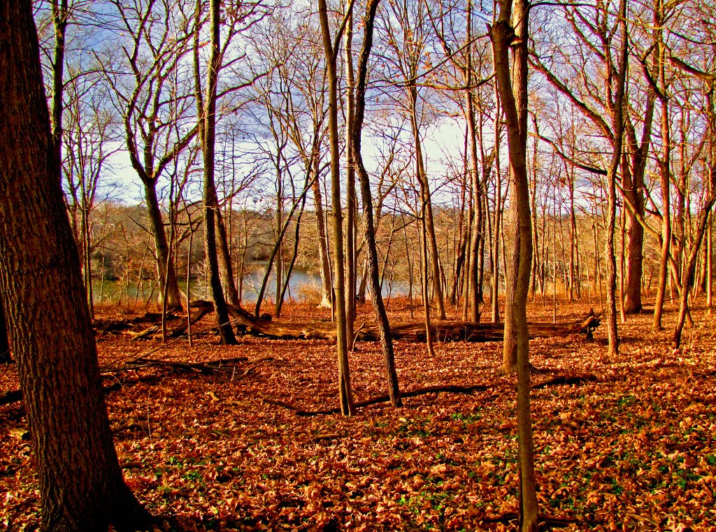 End of Autumn