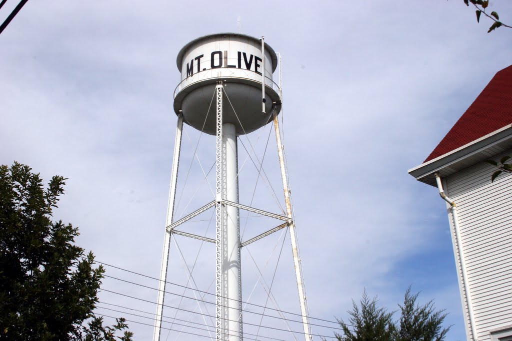 Mt Olive Water Tower......(1622394350)