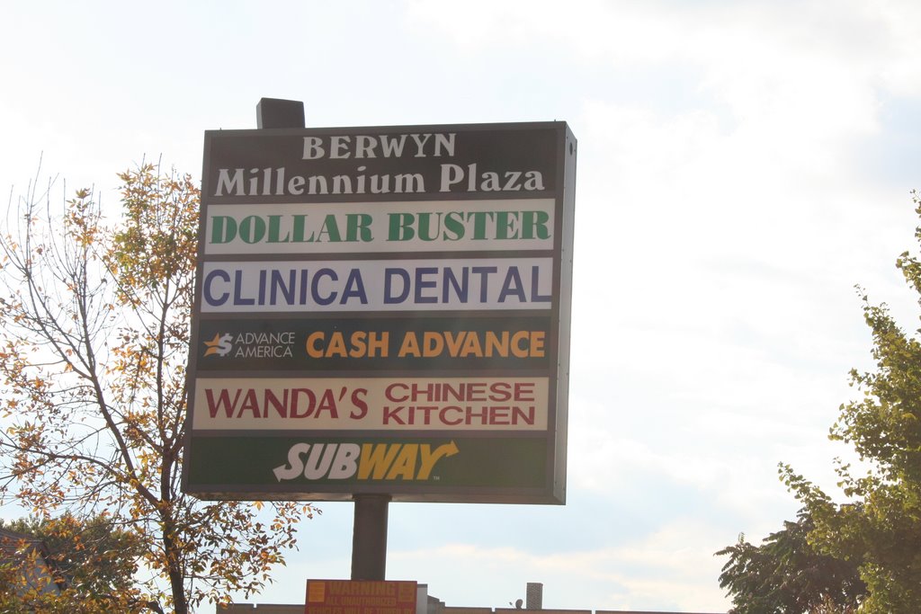 Berwyn Plaza