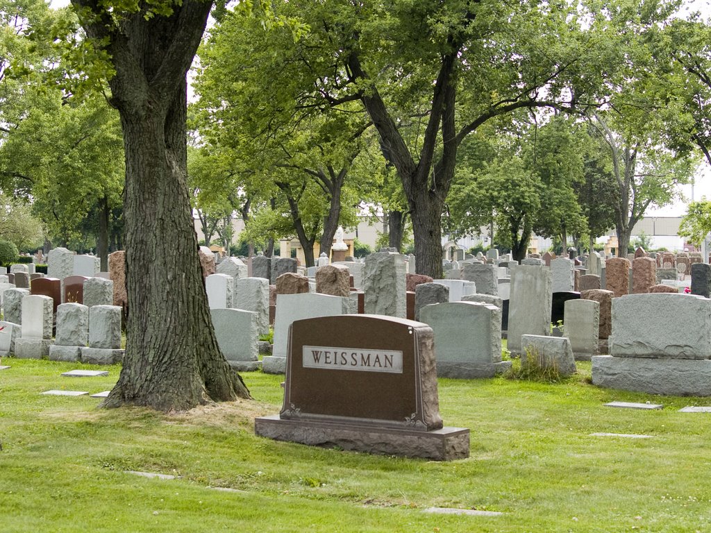 A Jewish Cemetery in Forest Park, IL