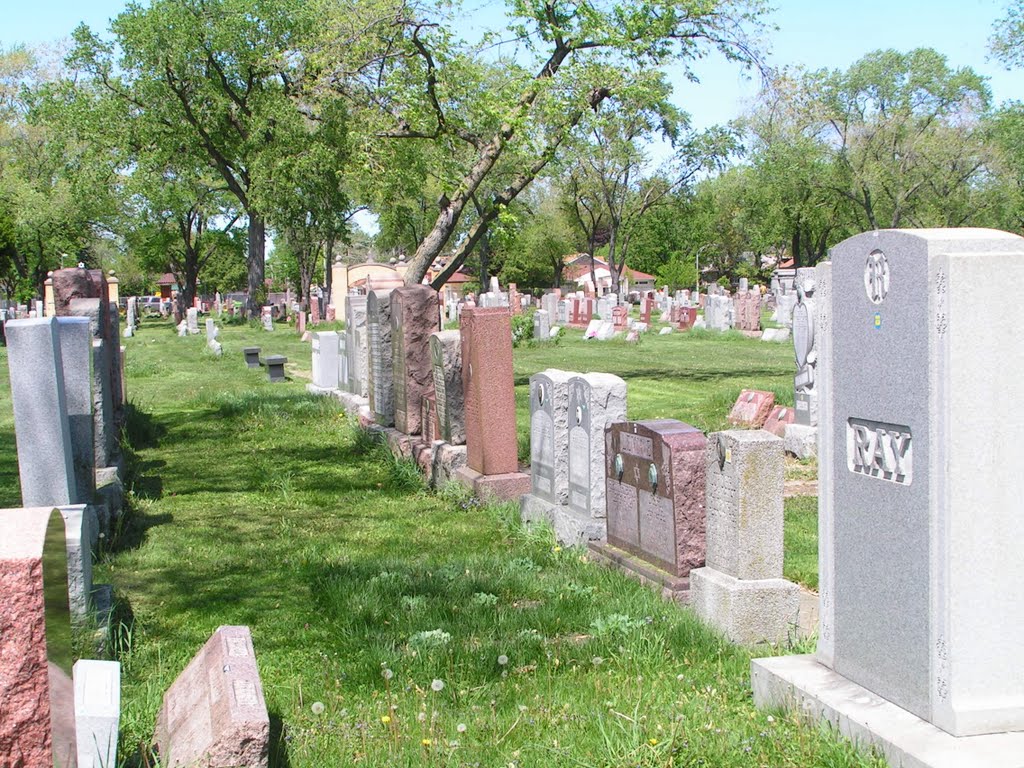 Waldheim Cemetery